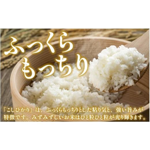 ふるさと納税 福井県 大野市 ベストファーマー ほたるの里 特別栽培こしひかり 6kg（2kg×3） × 3回 計18kg 化学肥料不使…