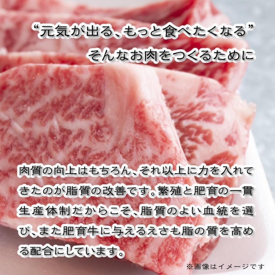 牛肉 ホルモン 国産 ハラミ 焼肉用 100g 量り売り BBQ  バーベキュー 鉄板焼き 横隔膜 鳥取 産地直送