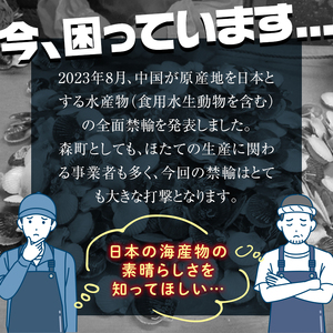  北海道産冷凍ホタテ貝柱1kg サイズ不選別（500g×2パック）刺身用＜森水産加工業協同組合＞ 小分け 森町 ほたて 帆立 ホタテ 海産物 魚貝類 おつまみ 海鮮丼 魚介類 貝柱 ふるさと納税 北海道 訳あり mr1-0402-1