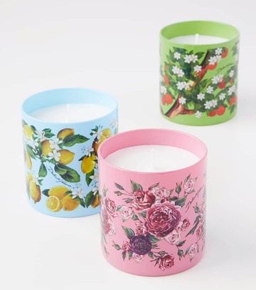 Dolce & Gabbana Casa Rosa Moschata scented candle