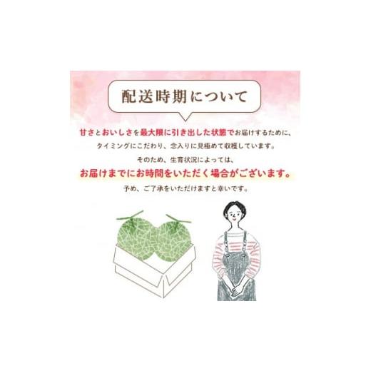 ふるさと納税 北海道 富良野市 ＜2024年発送＞富良野メロン　秀品　赤肉約2kg×2玉　計約4kg