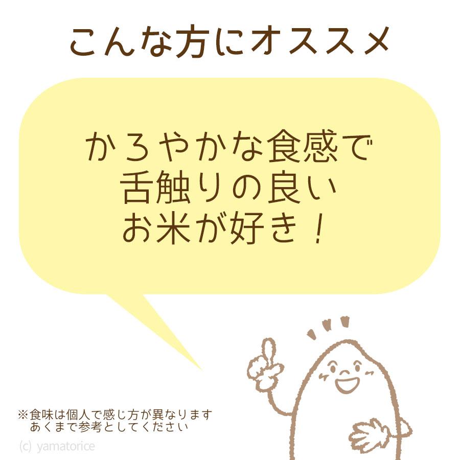 米 お米 銀河のしずく 5kg 贈り物 お中元 お歳暮 岩手県産 白米 令和5年産