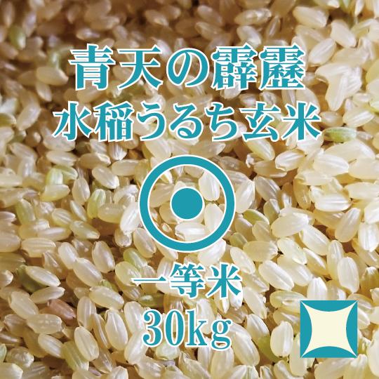 青天の霹靂 玄米 30kg 令和5年産　青森県産　一等米