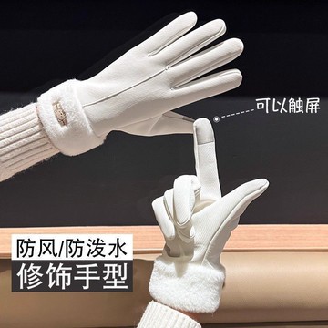 🔥臺灣出貨🔥防風防水 保暖手套 機車手套 女款加絨加厚 -20℃ 抗寒觸控手套 騎車防凍滑雪必備 騎車手套 手套 加厚款