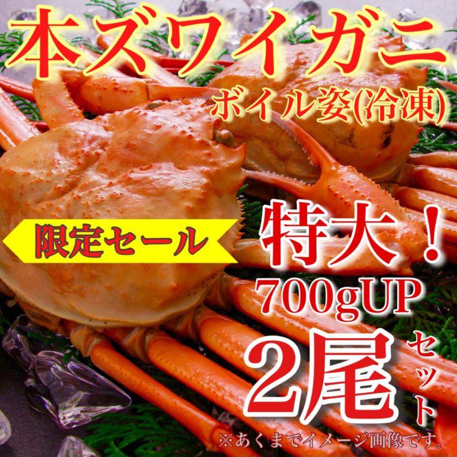 ＜年末年始限定＞特大！本ズワイ蟹カニ ボイル姿1尾 700gUP！2尾セット