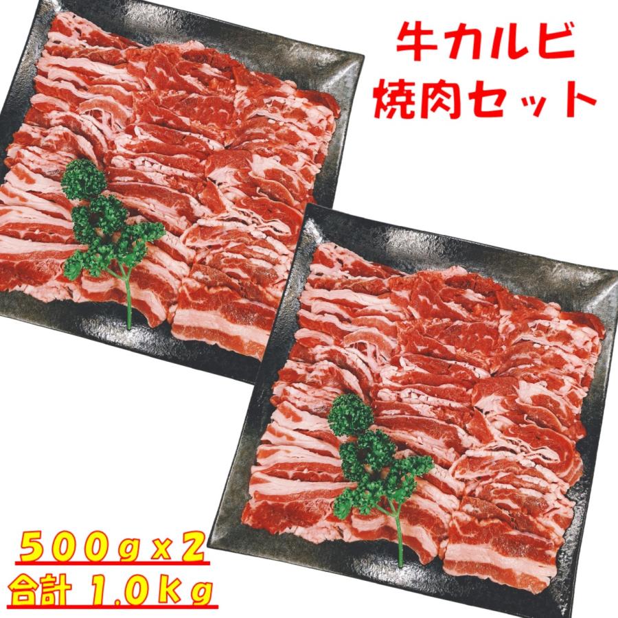 肉 バーベキュー 食材 牛肉 焼肉セット バーベキュー 肉 BBQ 肉 カルビ バラ バーベキューセット 食材 BBQ食材セット BBQ 食材 焼肉 牛丼 1kg 4〜6人前