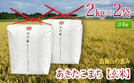 秋田県産 あきたこまち 玄米 4kg（2kg×2袋）神宿る里の米「ひの米」（お米 小分け）