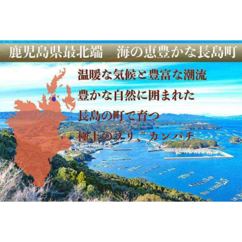 勇進水産 お刺身豪華３点セット約900g「勇ぶり」「勇カンパチ」「勇