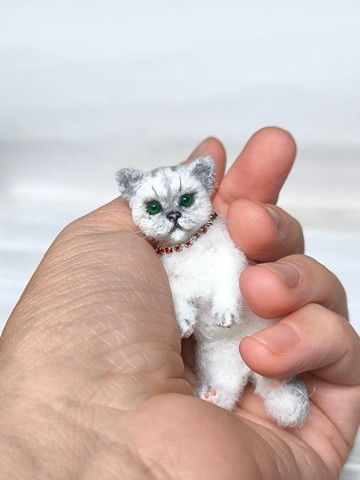 小貓雪兒