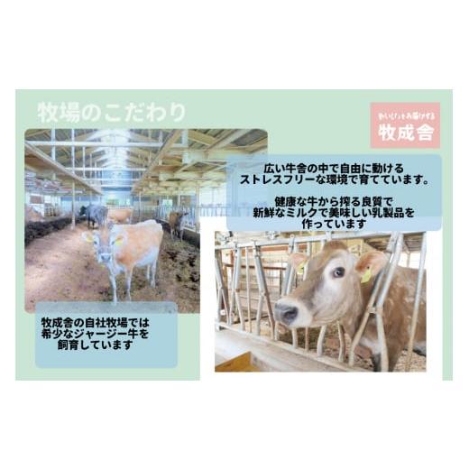 ふるさと納税 岐阜県 高山市 飛騨のカップヨーグルト20個セット 毎月1回お届け 乳製品 ヨーグルト2種類 セット 詰合せ 牧成舎 TR3750