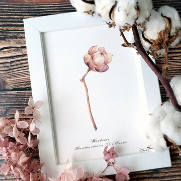 木玫瑰-裝飾畫/禮物/含包裝/水彩/手繪/插畫