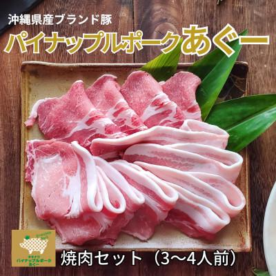 ふるさと納税 与那原町 パイナップルポークあぐー焼肉セット(3〜4人前)