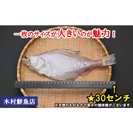 ふるさと納税 鳥取県 日吉津村 KI06：境港産一夜干しかれい（8枚）