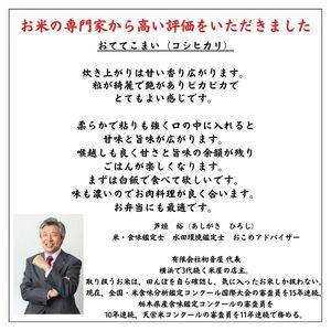 ふるさと納税 新潟県産 特別栽培米コシヒカリ3kg×12回「おててこまい」100%根知産 減農薬 令和5年産 専門家お墨付き 産.. 新潟県糸魚川市