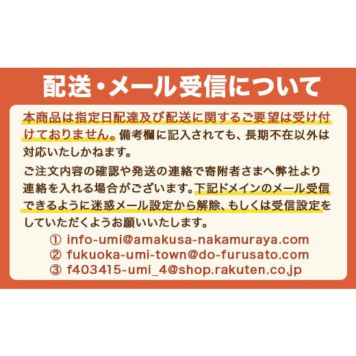 ふるさと納税 福岡県 宇美町 博多濃麻呂（こくまろ）とんこつラーメン ／ らーめん 豚骨 とんこつ 福岡県　UY001