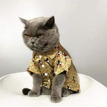 貓衣服薄款夏季襯衫寵物狗狗春夏時尚襯衫印花襯衫中小型犬