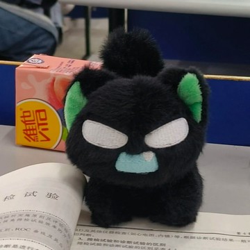 台灣出貨📦羅小黑戰記2週邊炸一炸羅小黑毛絨掛件可愛玩偶公仔棉花娃娃10cm