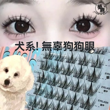 台灣出貨🔥 新款犬係免膠睫毛 無需膠水 免膠假睫毛 懶人睫毛 仿真睫毛 濃密睫毛 可愛款 新手