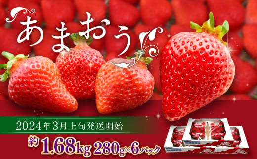 博多あまおう 約280g×6パック(春) あまおう いちご 苺 果物 フルーツ 福岡県産 博多