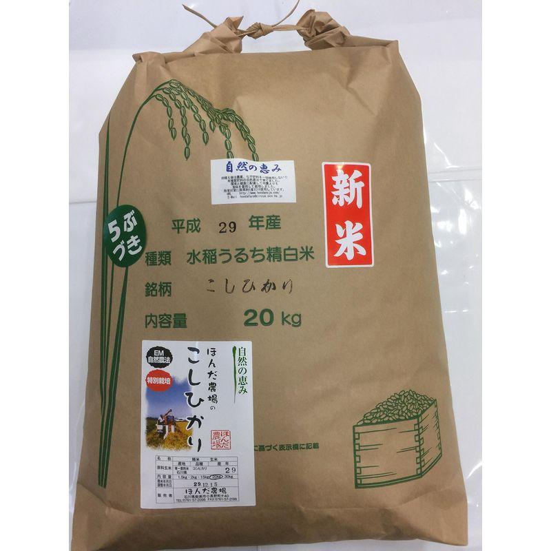 令和4年産 新米 石川県産 自然農法米 こしひかり 「自然の恵み」 白米 5分づき 特別栽培米 20kg