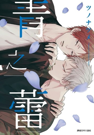 青之蕾（全）[二手書_良好]