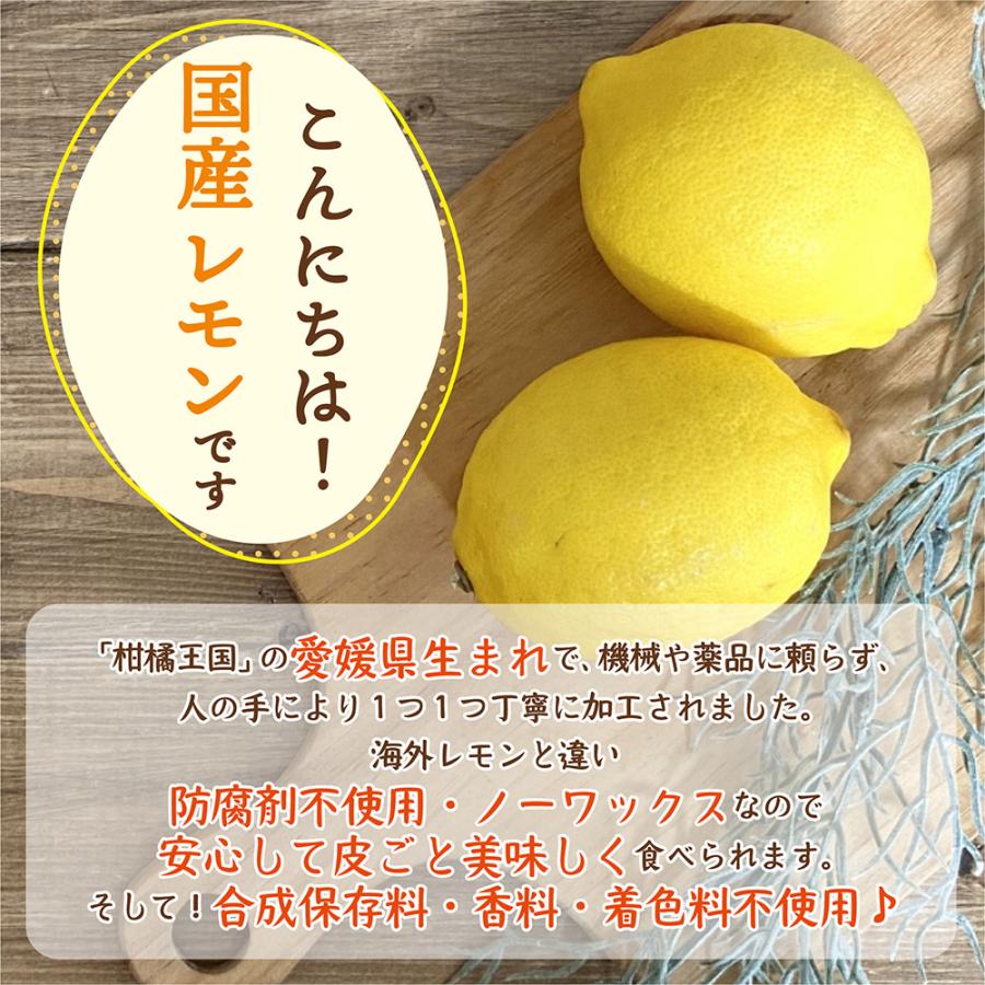 ドライフルーツ 愛媛県産 糖漬け レモン 100g 送料無料 国産 ドライレモン れもん 檸檬 お試し