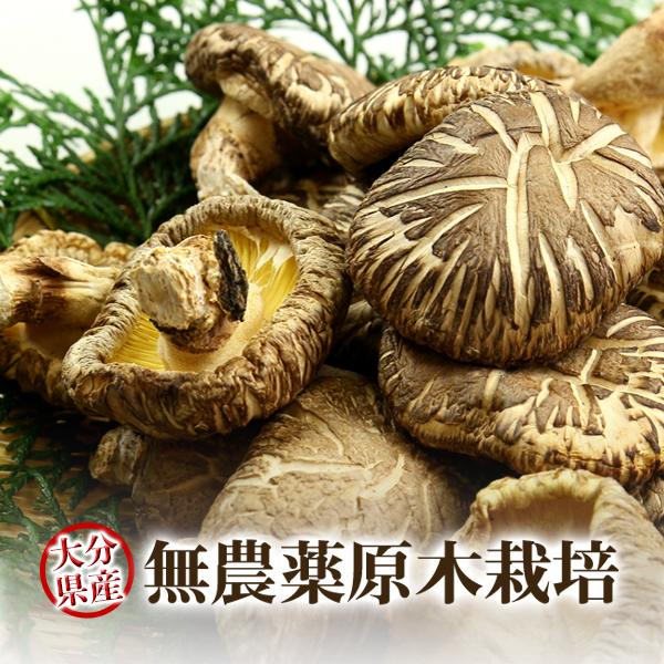 干し椎茸 乾燥椎茸 どんこ 120g 九州大分県産  国産 しいたけ シイタケ 原木栽培 乾燥野菜