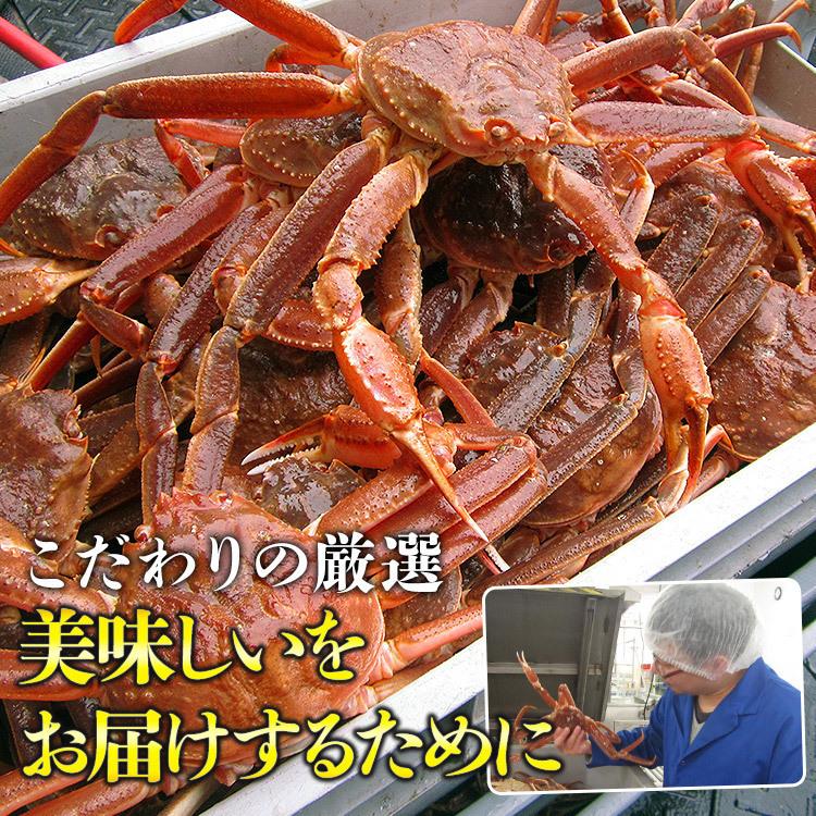 超目玉! かに カット済み 特大 生ずわい蟹 1kg 送料無料 冷凍便 蟹 カニ ずわいがに ズワイ お取り寄せ 食品 備蓄