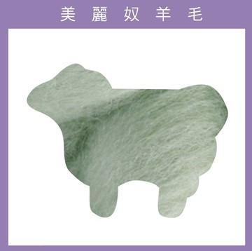 紐西蘭ASHFORD-美麗奴羊毛 M21夢幻綠｜50g｜DIY手作/羊毛氈材料/文創