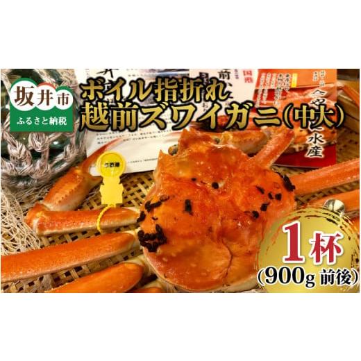 ふるさと納税 福井県 坂井市 名人が茹でる 指折れ訳あり越前がに(中大)1杯 900g前後　やまに仕込み[J-4303_01]