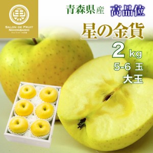 [予約 2023年12月1日-12月31日の納品] 星の金貨 りんご 5玉-6玉 大玉 約2kg 高品位 りんご 青森県産 冬ギフト お歳暮 御歳暮