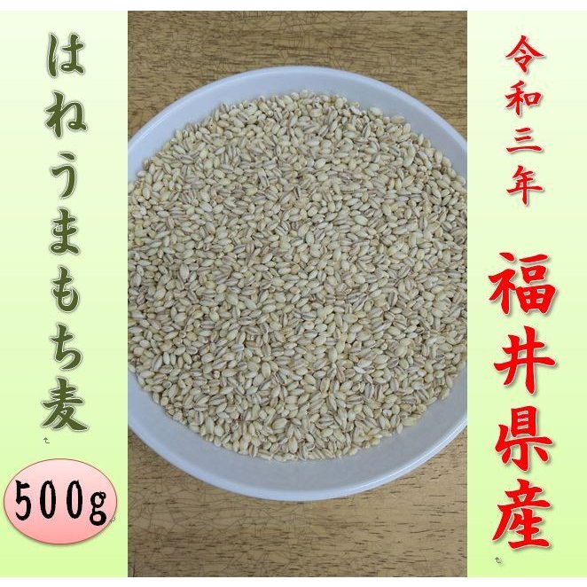 福井県産はねうまもち麦500g