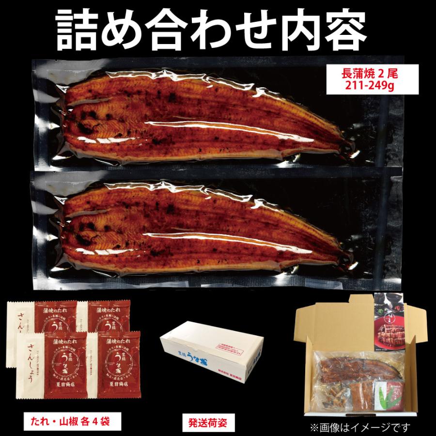 うなぎ 蒲焼き 国産 特々大211-249g×2尾 （約4人前） 送料無料 プレゼント 贈り物 お歳暮 ギフト