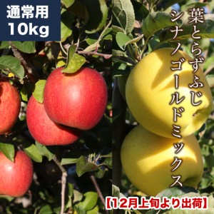 RED APPLE 12月上旬より順次出荷 葉とらずふじシナノゴールドミックス 約10kg りんご 林檎 果物 フルーツ ギフト 旬