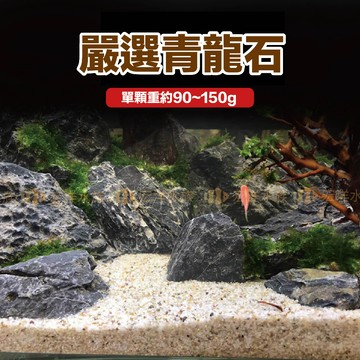 宏洋水族【嚴選青龍石】●多稜角/似峰巒/青黑色富白結晶紋<魚缸裝飾 魚缸造景 水草造景 水草裝飾 水族岩石 園藝造景