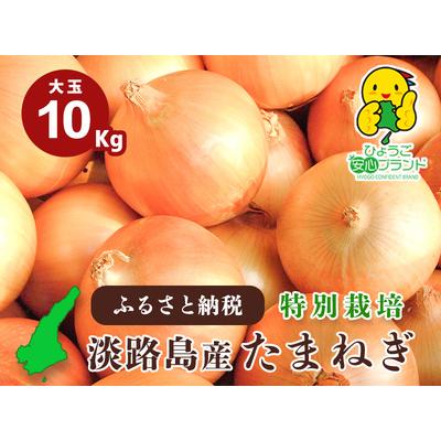 ふるさと納税 ひょうご安心ブランド★特別栽培★淡路島たまねぎ 兵庫県南あわじ市