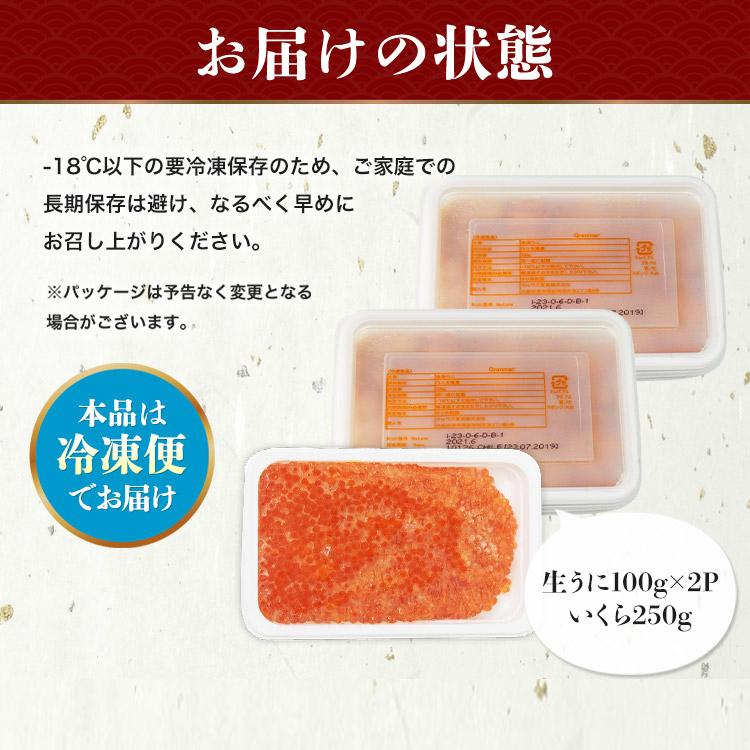 うに いくら セット ウニ200g イクラ250g　生うに 無添加 生ウニ みょうばん不使用 詰め合わせ お刺身用 雲丹