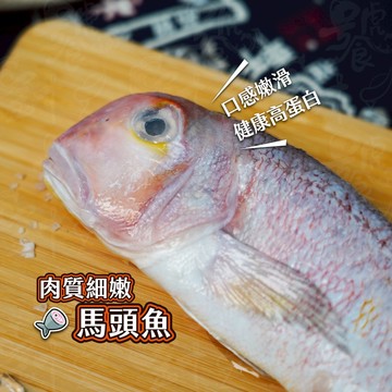 【饕針】×馬頭魚 300g±10%，又稱「甘鯛」是京都料理的高級食材 二去 紅馬頭