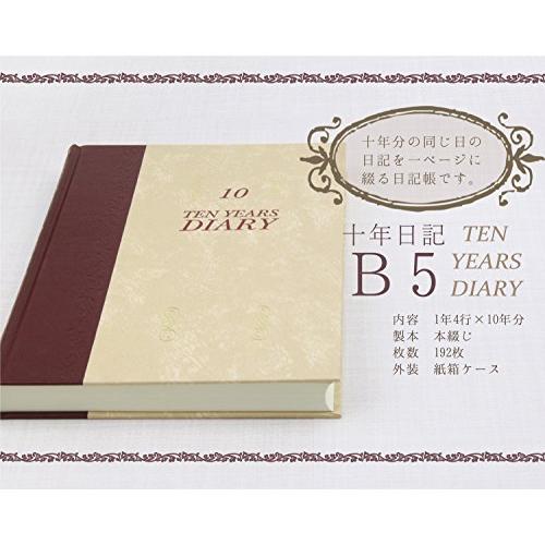 アピカ 日記帳 10年日記 横書き B5 日付け表示あり D313