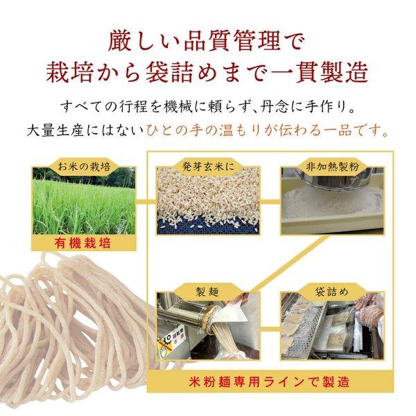 プレゼント グルテンフリー パスタ 発芽玄米 特定原材料不使用 ヴィーガン 国産 滋賀県産 米粉 発芽玄米ぱすた 詰め合わせセット 滋賀