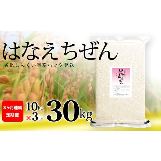 ふるさと納税 徳島県 海陽町 はなえちぜん 白米 5kg×2袋×3回 3ヶ月連続 定期便 30kg 真空パック ハナエチゼン 米 簡易梱包 エコ梱包