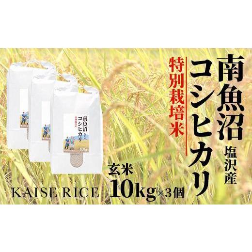 ふるさと納税 新潟県 南魚沼市 南魚沼産塩沢コシヒカリ（特別栽培米８割減農薬）玄米１０ｋｇ×３個