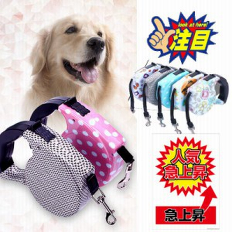 犬 リード リール 犬用 自動 伸縮 ペット用品 散歩 コンパクト ウォーキング 猫 ペット 5m Ainu801 通販 Lineポイント最大1 0 Get Lineショッピング