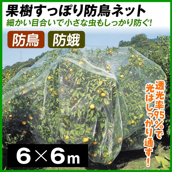 高評価！ 防鳥ネット 果樹すっぽり防鳥ネット 6m×6m 目合3×5mm 1枚 透光率95％ ポリエチレン 網 防鳥 防蛾 鳥よけ 国華園 