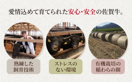 佐賀牛 サーロイン ステーキ 600g（300g×2枚）黒毛和牛 牛肉 ロース 霜降り 定期便 [HAD066]