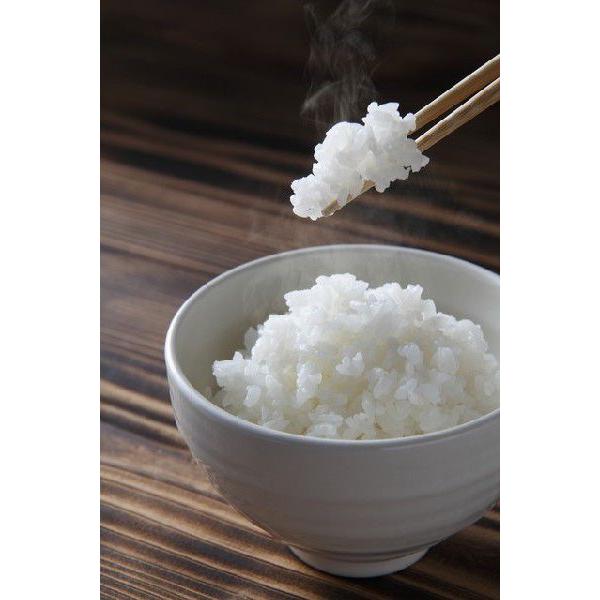 秋田県農家産直あきたこまち　無洗米　5ｋｇ　こだわりのお米　放射能・残留農薬不検出