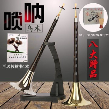 【熱銷爆款】嗩吶樂器紅木黑檀烏木D調嗩吶入門大小嗩吶全套初學者專業嗩吶d調