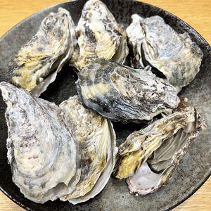 ふるさと納税 殻付き牡蠣(加熱用)　一斗缶 岡山県備前市