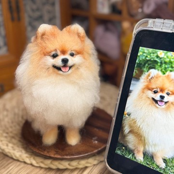 羊毛氈客製化寵物 | 博美犬 | 仿真擬真狗狗包玻璃罩