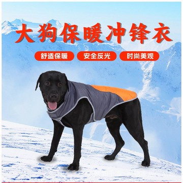 寵物大型犬狗狗衣服髮光一體狗狗衝鋒衣棉服大型犬寵物冬裝服